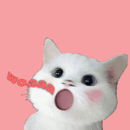 Coin image for FsREmsJtpVLuYPyxT2XEnkJjqwhcnhMPXKG8HYtDpump