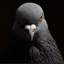 Coin image for FsfPPnjHzMgLLjUZZJtyXrHrmE9rmapF2V5WCNZwWQEX