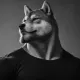 Coin image for FsqiMUfy35wBmWRgTyRDnGieVVyNKErTmRFkKGmDpump