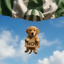 Coin image for FsxdrPAFD4UndWhxfZdrc5NpAYbq5JGBbk7AxkGgN8KB