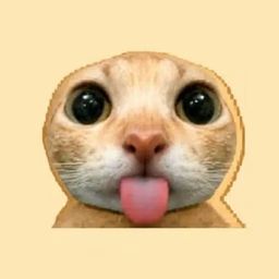 Coin image for Ftn6XDSgKJdgQiAw42axav6rDXw4EBHTmF8UQkVYpump
