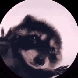 Coin image for Fv2HwtC7x7LUno7q6yWYnFxR9EXnBnKf4EpKLqKDjSt3