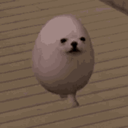 Coin image for FvfJ7yfqA2UfymMhbjfiQRHthcfMgovK2xavFiPFDhet