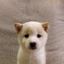 Coin image for FwXUqAu1xQX33nU3v61A87ydp9poryRafo7Nmey2M1Uy