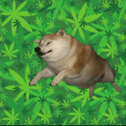 Coin image for FwzmaF4roSvk8VrcfrDasJuugCS8Fi7YfAHLhTdypump