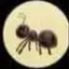 Coin image for Fz6CNV7PF5QoJPsWuQ4RvGxk6hxb1x6DkkWomUQZntbu