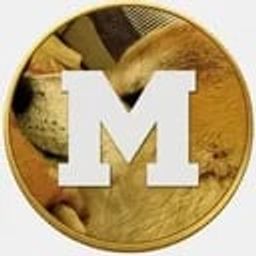 Coin image for FzLeTbNgiXhjn57QQB7MkcCtpv7Sf7zWNHdoHo7Npump