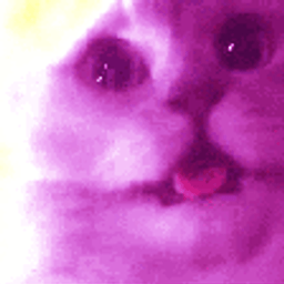 Coin image for G2BkwDpyqnS6zVy1egUTK1UMCFVTJ8DDYRPkYuT6pump