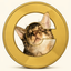 Coin image for G2Ro6Bznq9jSdtM7qS8b9QtfMncNYoUw6yZ15DzfSTAX