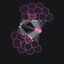 Coin image for G2iV3WgrRXod4P9xwrLpKZdrZ8fCzuCE6x8WiE1njuBD