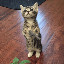 Coin image for G5aLPrazZfyGNxet724zPDeeLogvLHWTRSAt3z6sU4Ar