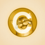 Coin image for G5ufrm1ScH9xXCQ1xBXgo2R6rKEqjPSy6ZGojLR2XZTW