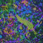 Coin image for G7Mfr8o7WbLnzvar6aeq1BbeRvW9DK7wSkytfAfqRxbU