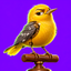 Coin image for G7RjPoNZ8pimmcd3myQUdvtiHceVFJokQGmn7HRmpump