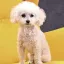 Coin image for G8LpkHhFzkoReGWbjkUboqRLD9HkePYErEMMiVMdZsGx