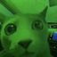 Coin image for G8ModkdDYTuUWLTVR4FAV8orFyZKXccZPhtUvvLBpump