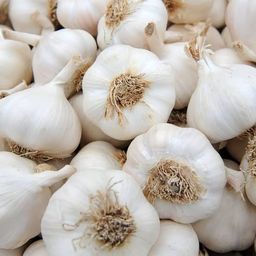 Coin image for GARLiCi7gK3gxNcMshqFNfdDdPgL3eESgnTUG85vtasc