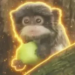 Coin image for GBuCLkeNBoQVvR8mCdozTBo8KFdN1zsmDnMMXHkGpump