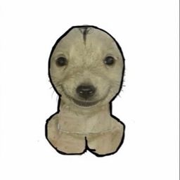 Coin image for GDGmojas2jmeTtNazKWSdeKrDfuqpFqCibn5btwipump