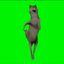 Coin image for GDgBFiJrzTvobktat9xWr9sSNPSfZBdD6iHWRWvdpump