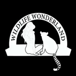 Coin image for GDjzWSvMLuHqpFfhCehvwtauwPRGPRACkKfXT7Tupump