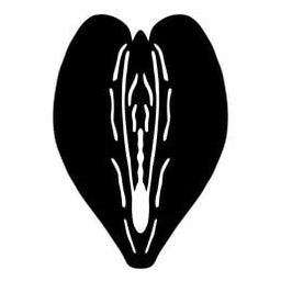 Coin image for GEsoPHA2mXHCWUC2982Y1uQTxUAwJGL34fvafLd4pump