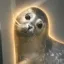 Coin image for GGsAikGjdTT5nN9f8pBVwJ8FzwdbuYjRYy8PQFJApump