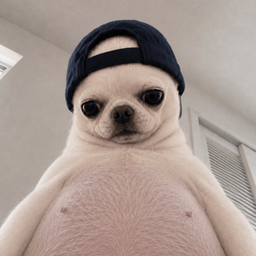Coin image for GHkZvTSh2AmRFNXNBmuC2VYpTRMrzBUSf6ym3QPRpump