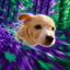 Coin image for GJUdPESryJH17noFDsjsm1csjBLaM5YoLd2Eg2rxpump