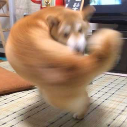 Coin image for GJZJsDnJaqGuGxgARRYNhzBWEzfST4sngHKLP2nppump