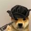 Coin image for GLAdrxkCfoEK7bm6NewDmj356j3KwFhnEiUWRdropump
