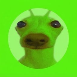 Coin image for GM2DMjucgNHxTvrqiXuYJZgBHN17vnuJb3wndwF5pump