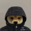 Coin image for GMEbJJAobH9gwcT2jKnbkTDYfw4yYsWE5rcjHMe8pump