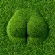 Coin image for GNAMAZj2uUKLTp7eguTnZt3tNHsTewPYSi5b6qwqz9uX