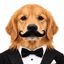 Coin image for GNqpjm2KHRcAit86B1ierwUZWJZVyeh5FyXhTakTpump