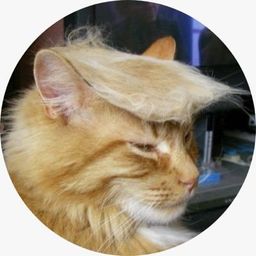 Coin image for GPECbsDMf18jzQyyVCGtzqCcMjGAJBso1yDrL69LtaWH