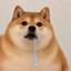 Coin image for GPpvznazgLo6XcjRpgfDjGZyesfKDXxzGDkSRcrDpump