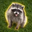 Coin image for GQeRPzBF6LuAvwUunjfngRiqKk541FYdhJiaagtb4EcV
