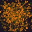 Coin image for GRzoEfEh2A91FC8NPeMN31zgJHqfSoRigjrtfoT3pump