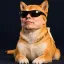Coin image for GSSEuVcSjwHUGfj1MMRMFhBuYbsDqcgGXhw6go3bpump