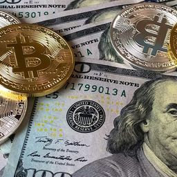 Coin image for GSd6NJqtoVZug2VYsvPpuj6u78ZdnWPZWS6jsVDBpump