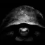 Coin image for GShT8g8cPETBoiDHa9akCy6xSHmZAzFVx4HZpoqNewCr