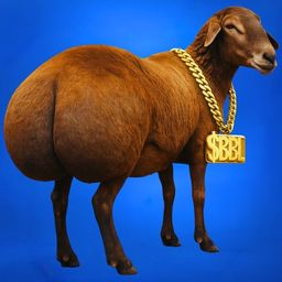 Coin image for GSqK6iRaWRB8vHiFQAKE85CzerBJQSXECzn7MzQXpump