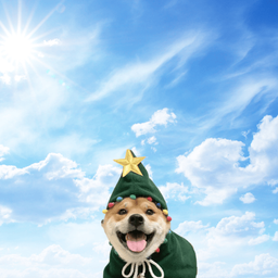 Coin image for GSwLkKpFBC2FzCkEVoSgTfm7dgbUXLVsj6pwJrqUpump