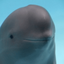 Coin image for GTFWEVQy5BwQsZJWS4Y6KaZ3or6Yhysh2EEUp8bgpump