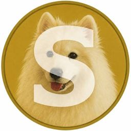 Coin image for GTVXFY6EvkXq2Dv6RMVphnZwDXSLH3yKqmDLPyGNpump