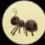 Coin image for GTWBhuwC19iZvgWxKShv1tSxs6w7qZwGPLtWh8z3aF36