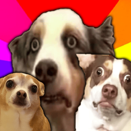 Coin image for GTksCMtD5KerWGCSGkmpH4eKYrf2UgAMgJcMoF1kpump