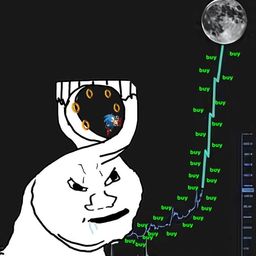 Coin image for GUvmU4iVLrn81V8AEKasFaptRotGbgJTaz5jZrRzpump