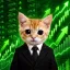 Coin image for GVuWquxPgf8S9jQVDwMoij8T9y22EJwdAy9qMHr3pump